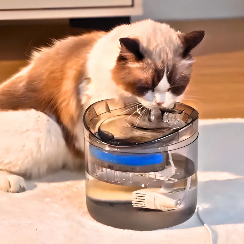 Bebedouro Fonte De Agua Com Filtro Para Pet